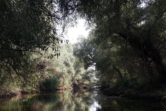 Tour image 9