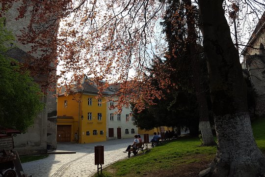 Tour image 4