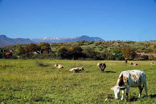 Tour image 10