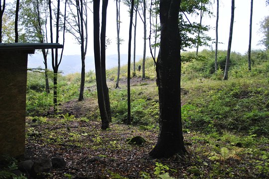 Tour image 5