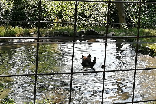 Tour image 4