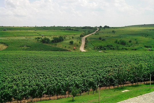 Tour image 2