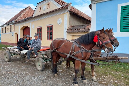 Tour image 10