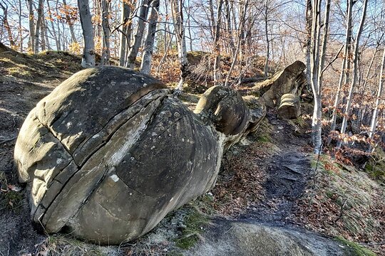 Tour image 8