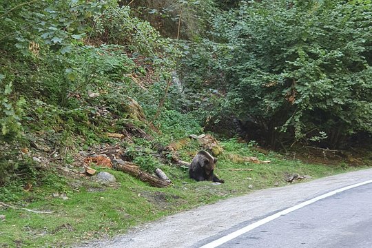 Tour image 12