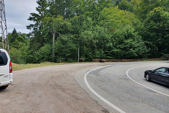 Tour image 8