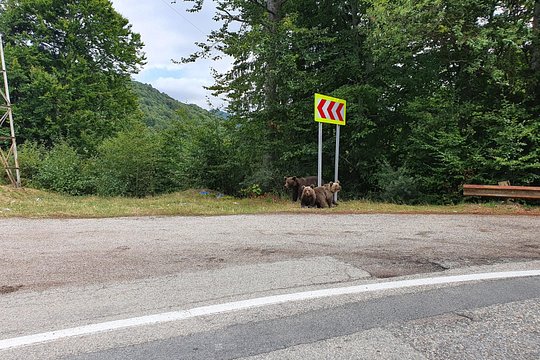 Tour image 9