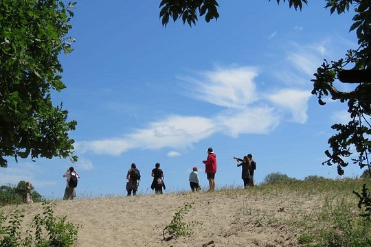 Tour image 5