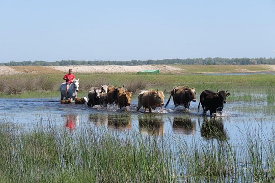 Tour image 10