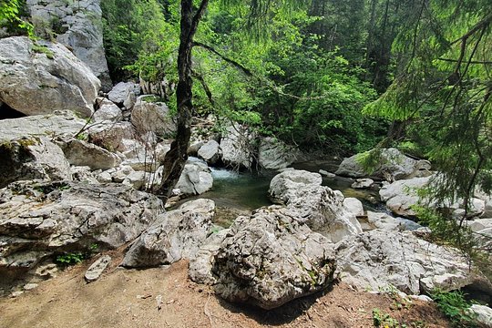 Tour image 13