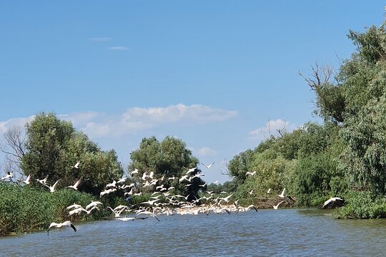 Tour image 5