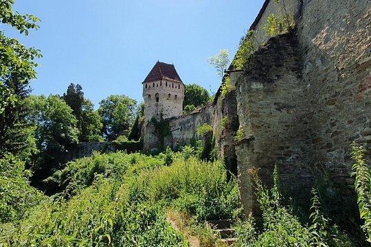 Tour image 4