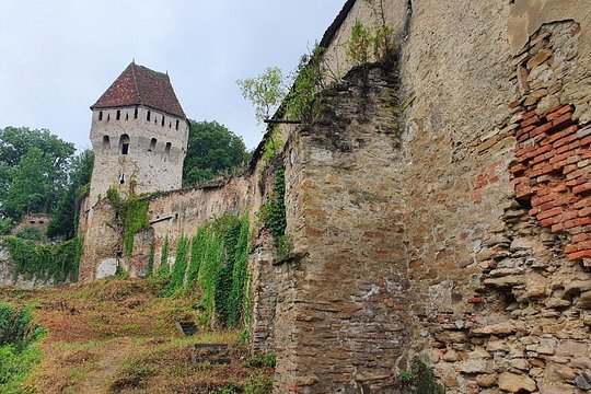 Tour image 11