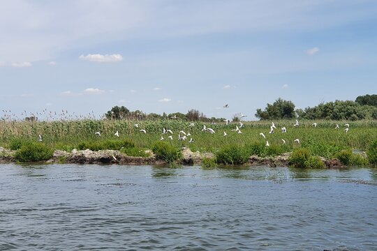 Tour image 5